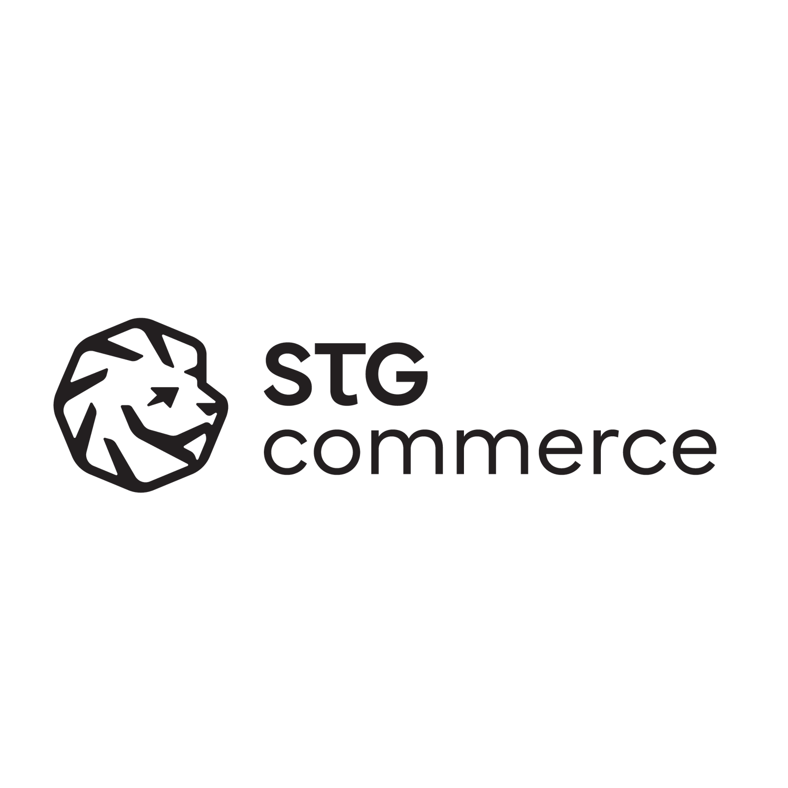 STG Partner Logo